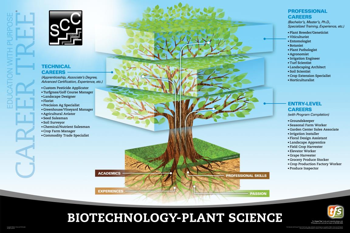 BioTechnology Plant Science Career Tree
